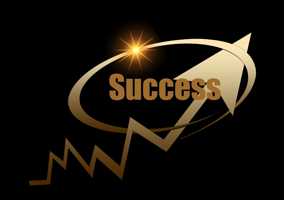 Business Consultant Business Consultant